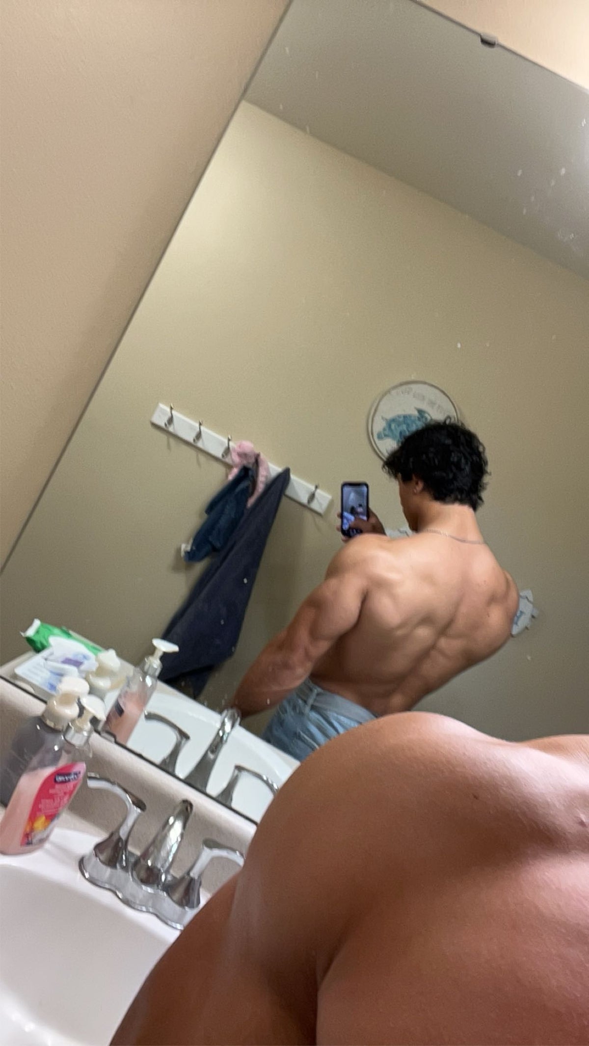 12 Week Advanced Bodybuilding/ Powerlifting Program