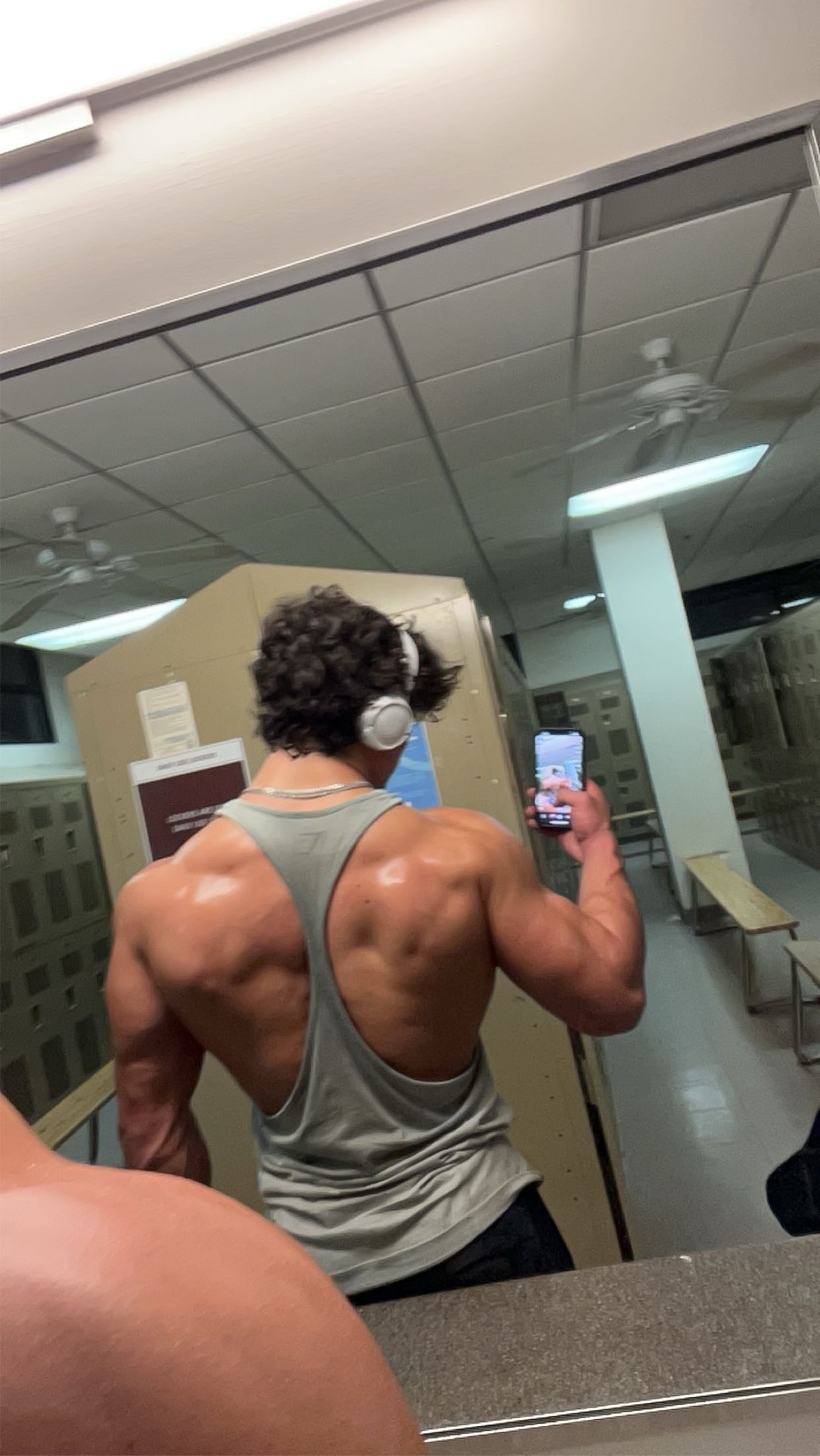 Connor Mathews, Standard Muscle and Strength Build Program ￼
